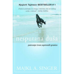 Nesputana duša - Majkl Singer
