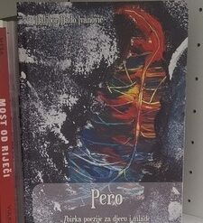 Pero (tvrdi povez) - Dalibor Dado Ivanović